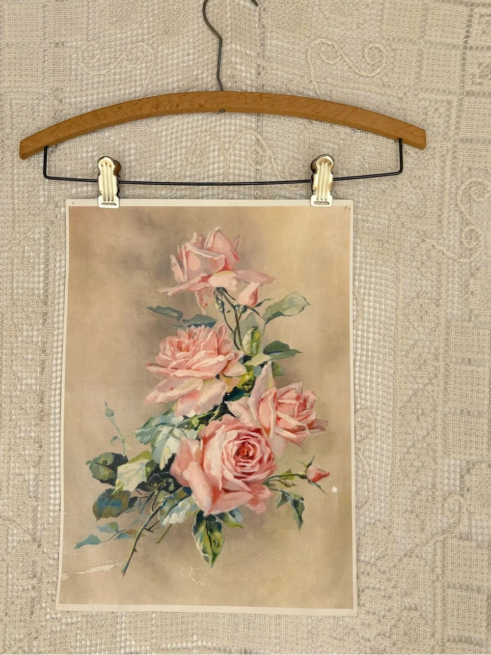 Victorian Rose Print Used !